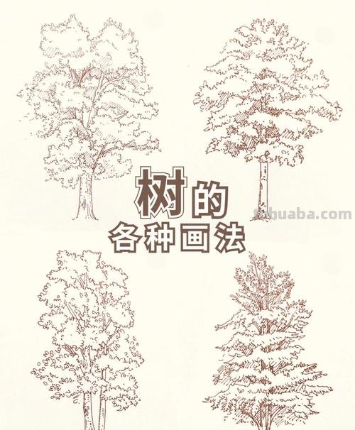 树枝叶速写 素描时怎样画树的叶子?