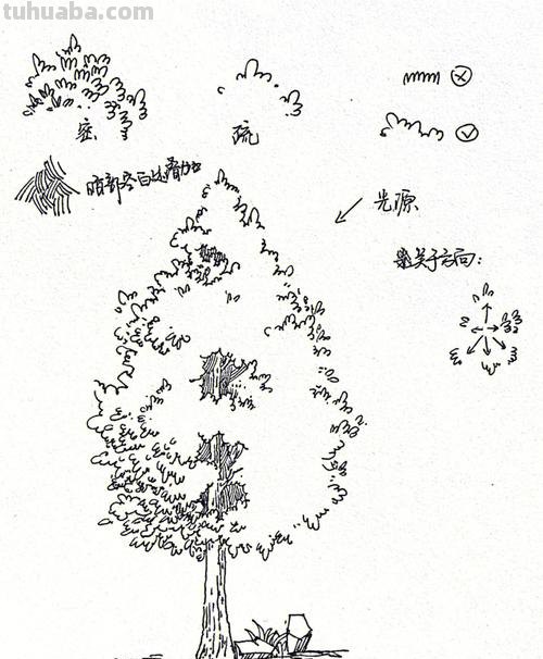 树枝叶速写 素描时怎样画树的叶子?