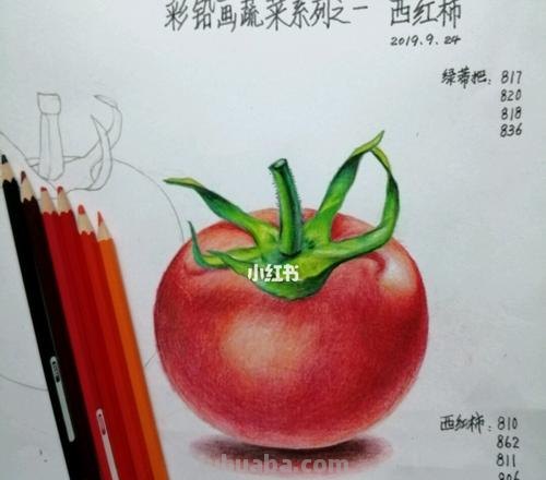 儿童彩铅画怎么画立体的 水果蔬菜彩铅画教程?