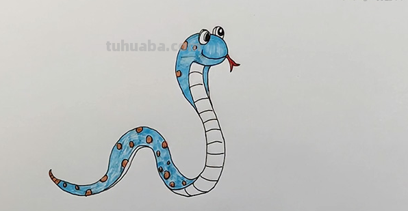 蛇怎么画简笔画彩色 怎样画蛇?铅笔画蛇教程？