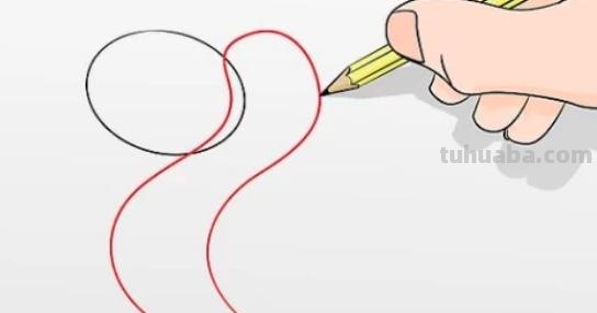 蛇怎么画简笔画彩色 怎样画蛇?铅笔画蛇教程？