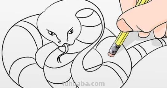 蛇怎么画简笔画彩色 怎样画蛇?铅笔画蛇教程？