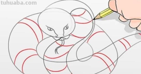 蛇怎么画简笔画彩色 怎样画蛇?铅笔画蛇教程？