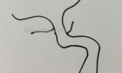 松树怎么画用彩铅画的 很茂密的树怎么用彩铅画？