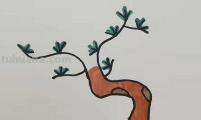 松树怎么画用彩铅画的 很茂密的树怎么用彩铅画？