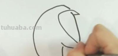 可爱的彩铅画企鹅怎么画 如何简单的画小企鹅？