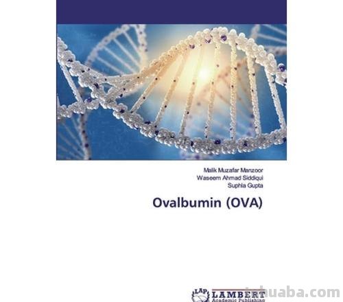 OVA ovalbumin