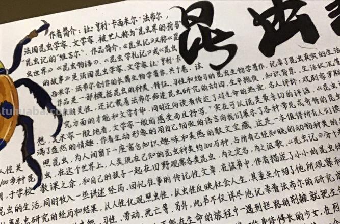 以虫手抄报怎么做 画昆虫记手抄报?