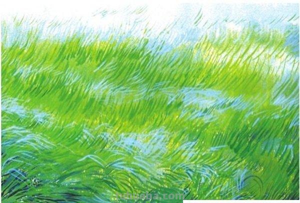 风景画彩铅草地怎么画 草地怎么画?