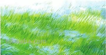 风景画彩铅草地怎么画 草地怎么画?