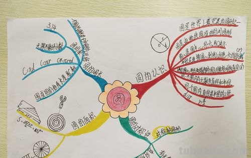 怎么给思维导图加装饰图 圆的思维导图怎么做五年级