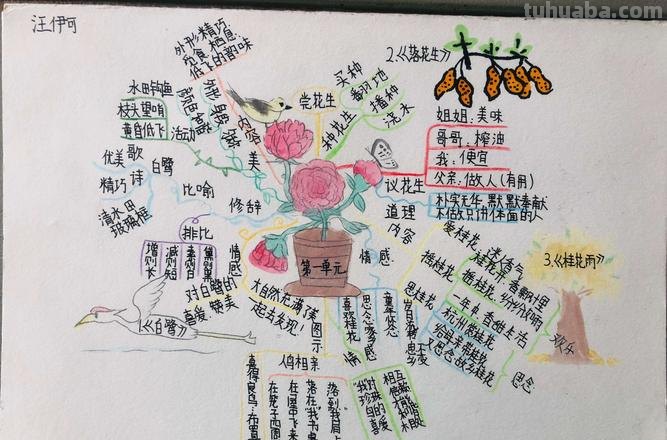 思维导图都画些什么图 思维导图画什么好？