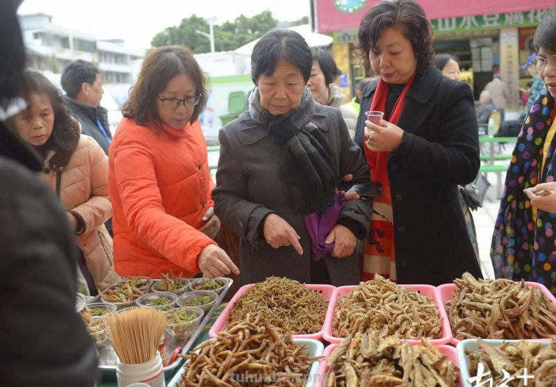 天冷了吃点好的！广州市首届乡村美食汇开幕，乡土风味美食大聚集
