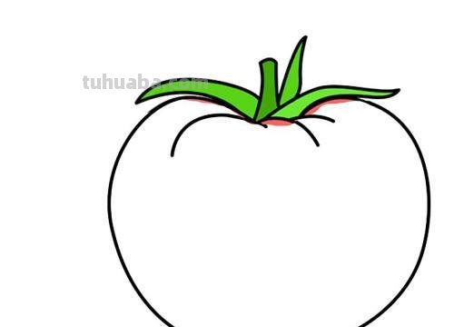 西红柿的简笔画怎么画 如何画大葱西红柿辣椒？