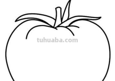 西红柿的简笔画怎么画 如何画大葱西红柿辣椒？