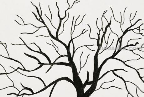 玉米树怎么画简笔画 简笔画：冬天树木画法教程？