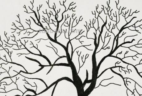 玉米树怎么画简笔画 简笔画：冬天树木画法教程？