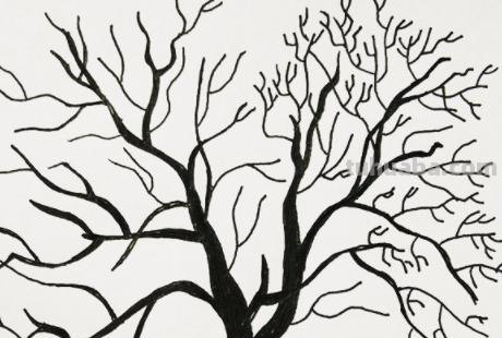 玉米树怎么画简笔画 简笔画：冬天树木画法教程？