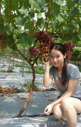葡萄mm 葡萄MM现在怎么样了