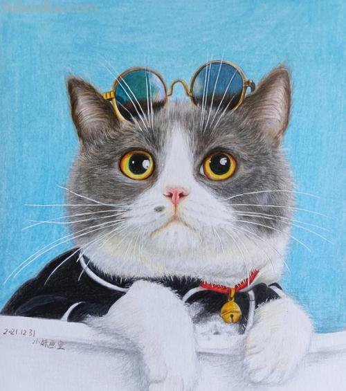 彩铅画猫鼻子怎么画的 彩色铅笔画可爱的小猫咪的教程详细步骤?
