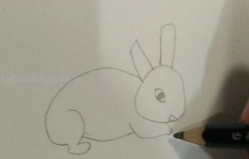 怎么画兔子的简笔画 兔子简笔画怎么画？