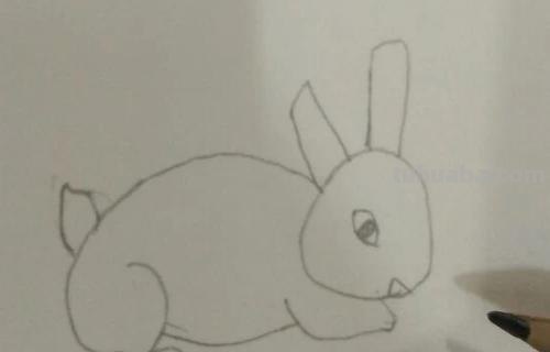 怎么画兔子的简笔画 兔子简笔画怎么画？