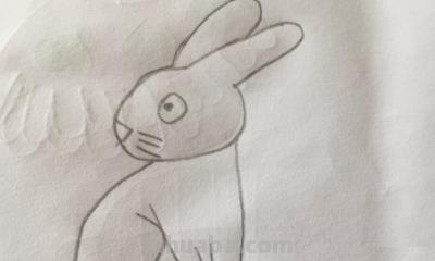 怎么画兔子的简笔画 兔子简笔画怎么画？