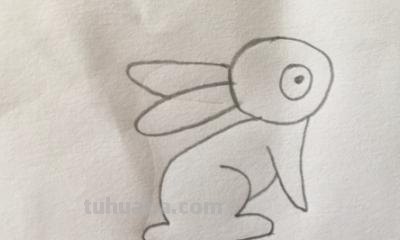 怎么画兔子的简笔画 兔子简笔画怎么画？