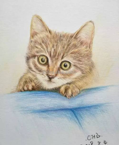 彩铅画躺着的猫怎么画 小馋猫简单铅笔画?