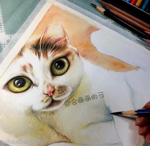 彩铅画躺着的猫怎么画 小馋猫简单铅笔画?