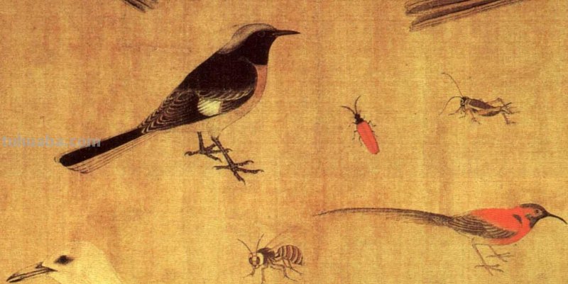 传世名画-看看五代黄筌惟妙惟肖的动物写生