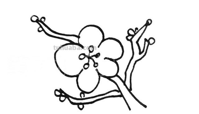 腊梅花怎么画简笔画 梅花怎么画简单又好看？