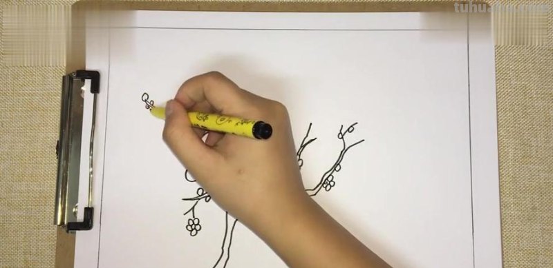 腊梅花怎么画简笔画 梅花怎么画简单又好看？