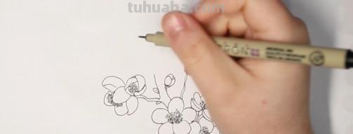 腊梅花怎么画简笔画 梅花怎么画简单又好看？
