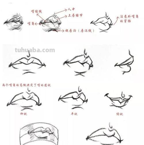 肢体语言速写 速写局部嘴巴线形的画法？