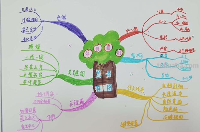 思维导图的图包括什么要素 思维导图由哪些元素构成？