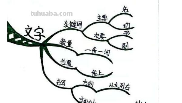 思维导图的图包括什么要素 思维导图由哪些元素构成？