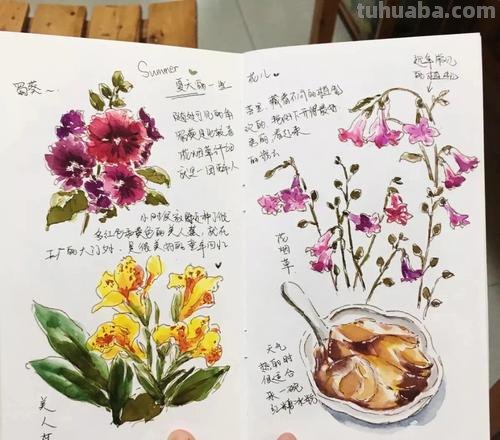 嘿嘿,翻看这些手账本,就像看绘本,水彩手账好漂亮啊