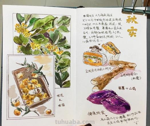 嘿嘿,翻看这些手账本,就像看绘本,水彩手账好漂亮啊