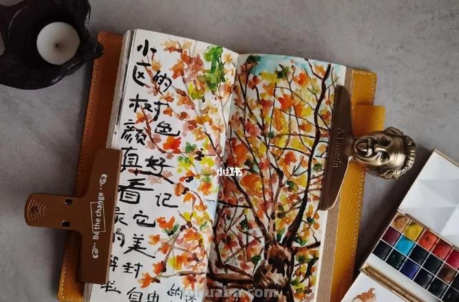 嘿嘿,翻看这些手账本,就像看绘本,水彩手账好漂亮啊