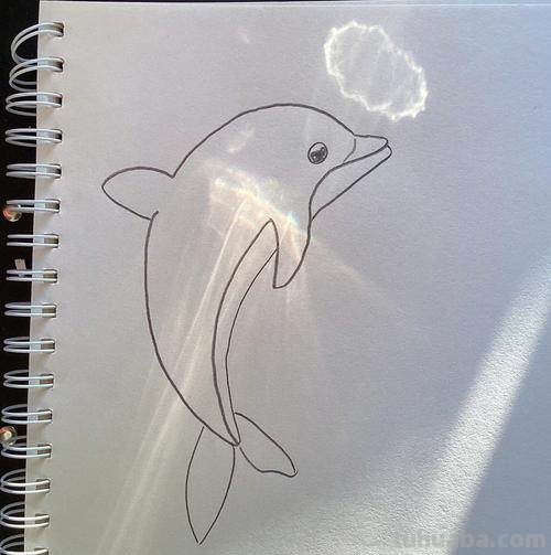 海豚的简笔画怎么画 海豚怎么画？