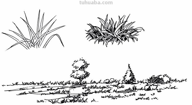 草丛速写方法 素描中，怎么去画草地，树叶这种很细的东西？