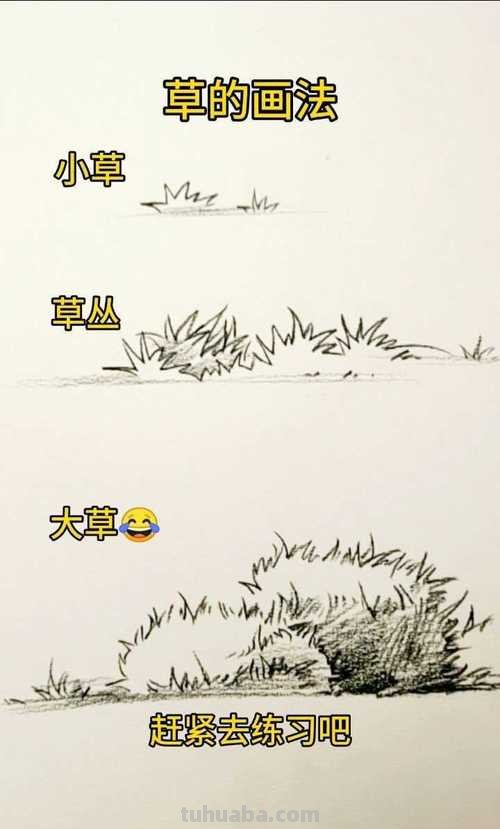 草丛速写方法 素描中，怎么去画草地，树叶这种很细的东西？