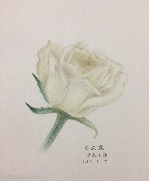 白色彩铅有什么用？白色彩铅有哪些用处？ 