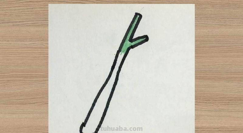 色彩大葱及色彩大葱怎么画——一篇详细的绘画教程 