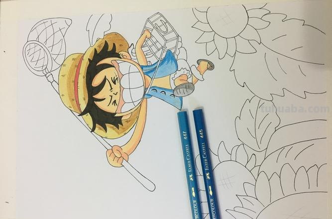 用色彩描绘路飞的冒险之旅——路飞色彩画