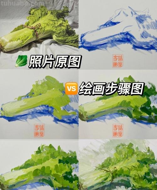 探究色彩白菜画法及其调色技巧 