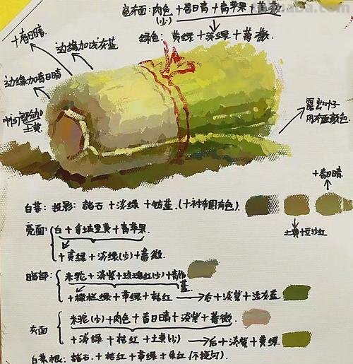 探究色彩白菜画法及其调色技巧 
