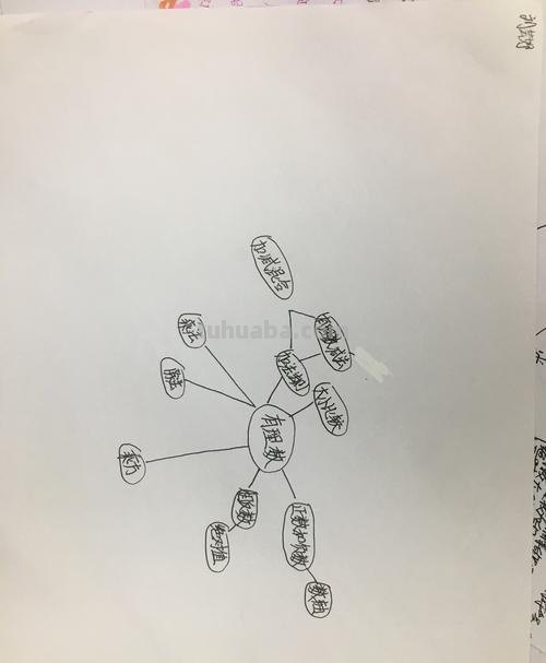 该怎么画思维导图模板图 思维导图怎么做？
