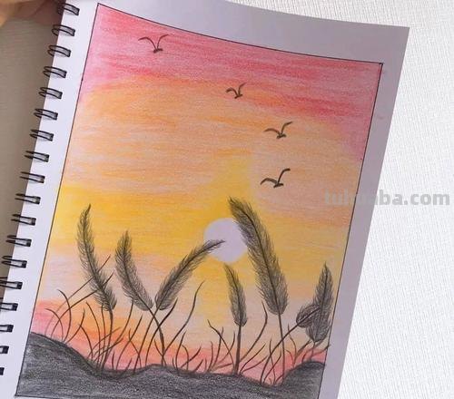 夏天的傍晚彩铅画怎么画 怎么用彩铅画芦苇塘和月亮？